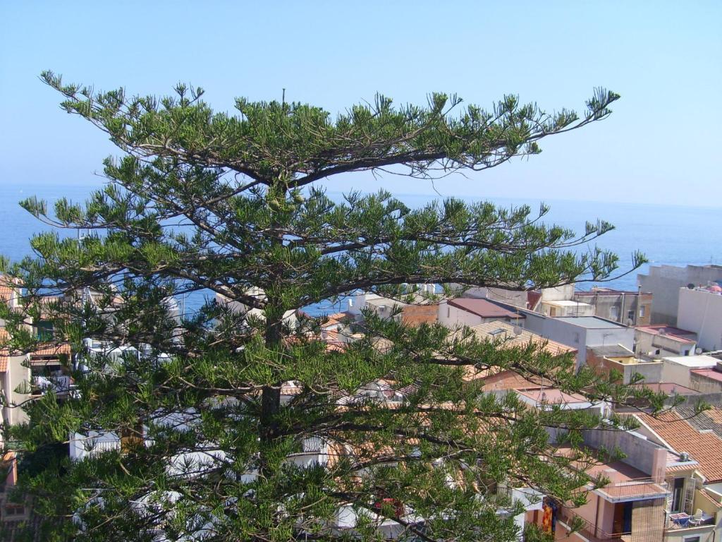 Hotel Delle Palme Letojanni Exterior photo